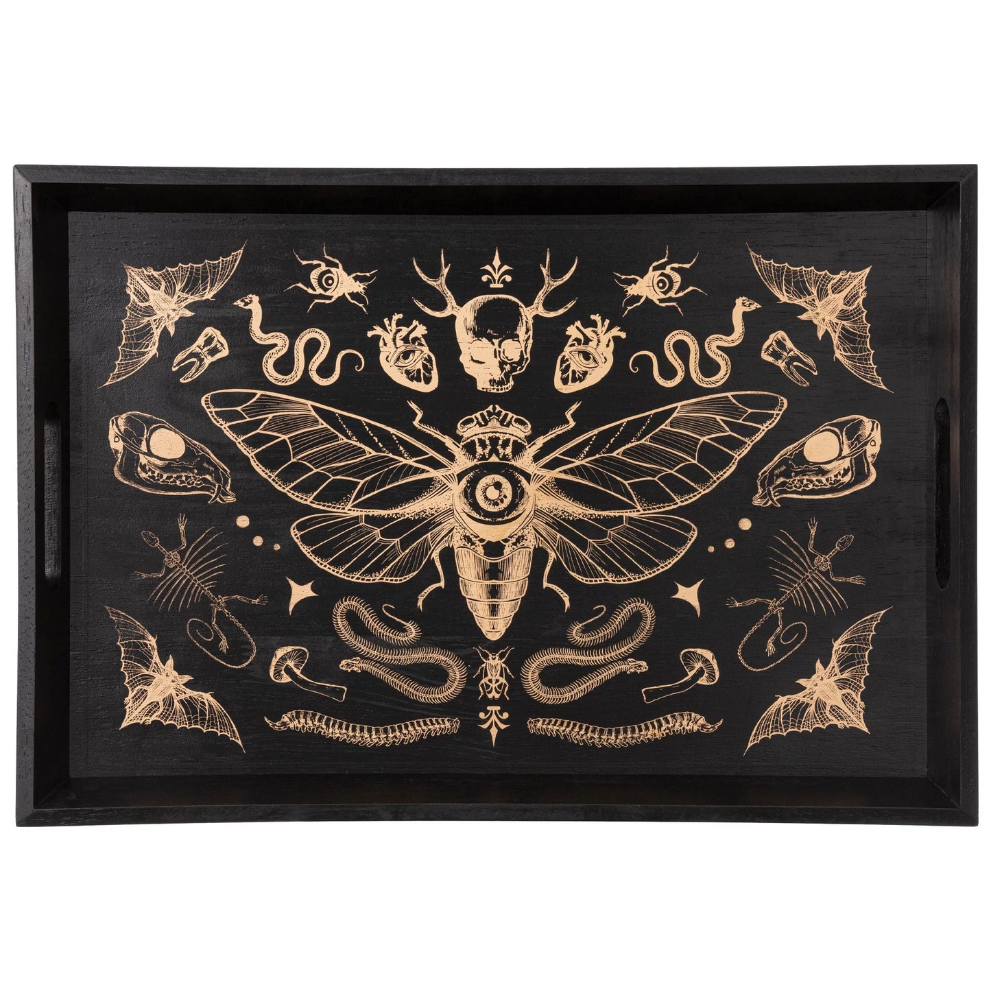 Dark Academia Tray
