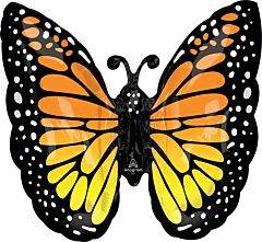 25" Supershape Mylar - Monarch Butterfly Glow