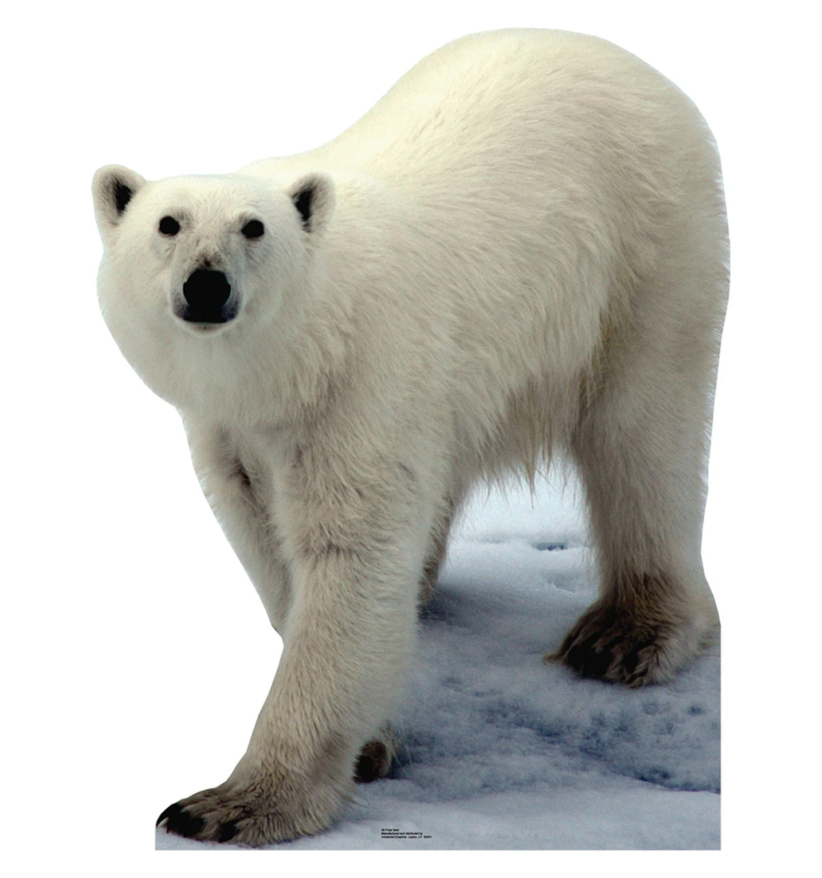 Cardboard Cutout - Polar Bear