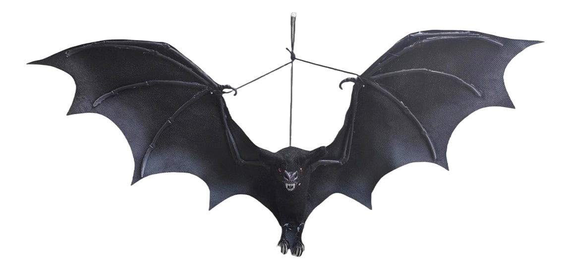 Hanging Black Bat