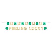 Charming Shamrock "Feeling Lucky" 2pc Foil Garland 9ft