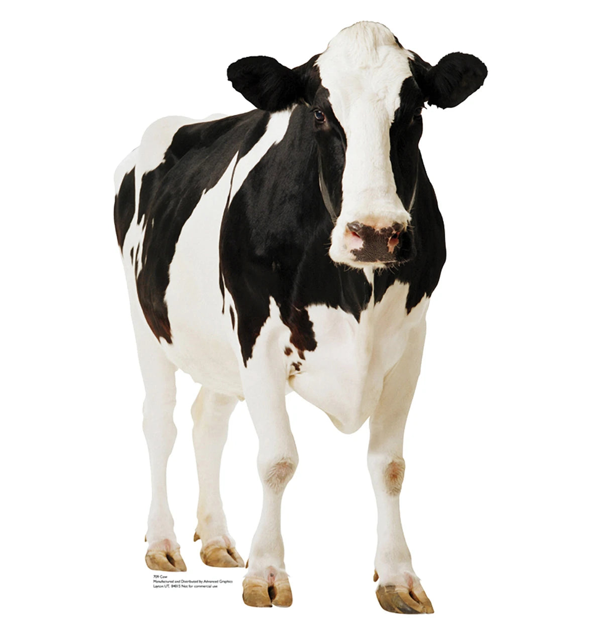 Cardboard Cutout - Cow
