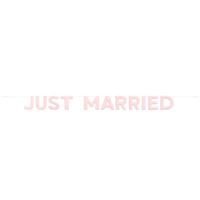 Just Married - Fabric Banner 7ft