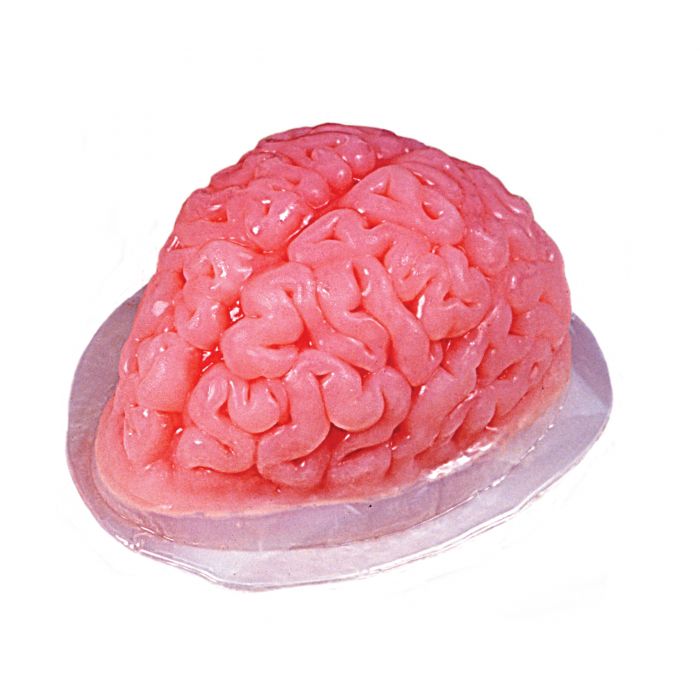 Gelatin Mold - Brain
