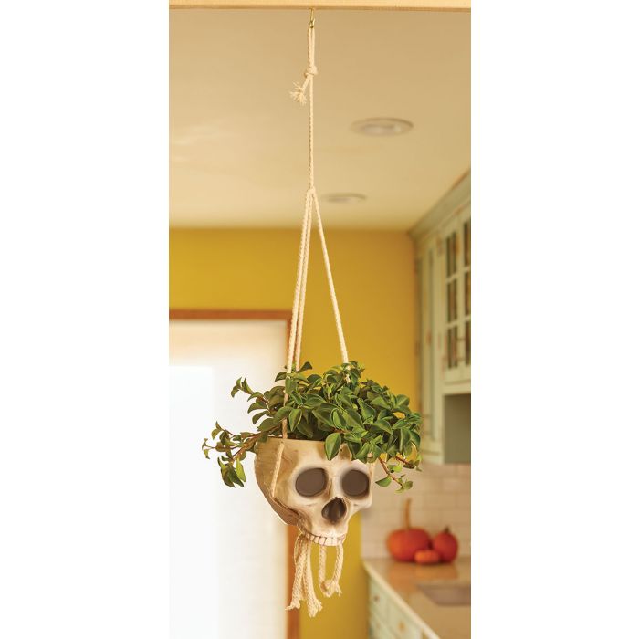 Hanging Skull Planter - Bone