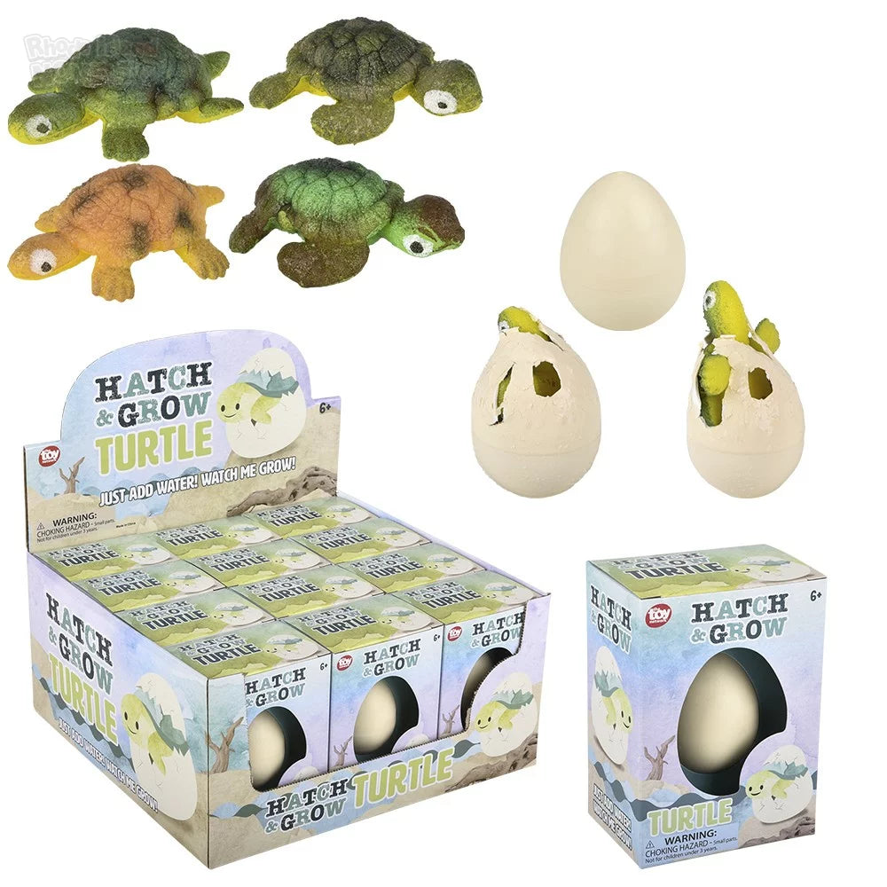 Hatch and Grow Turtle Egg