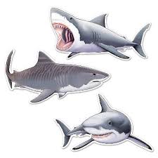 Shark - Cutouts 3ct