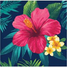 Tropic TIme - Beverage Napkins 16ct