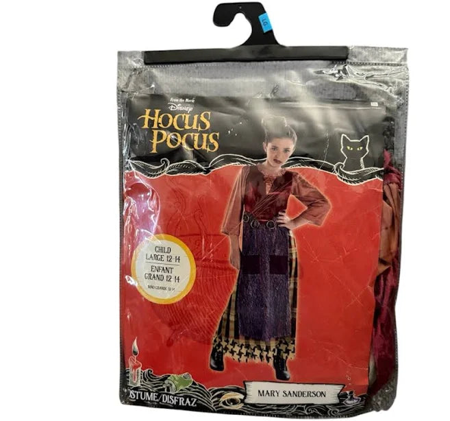 Child Costume - Hocus Pocus Mary Sanderson