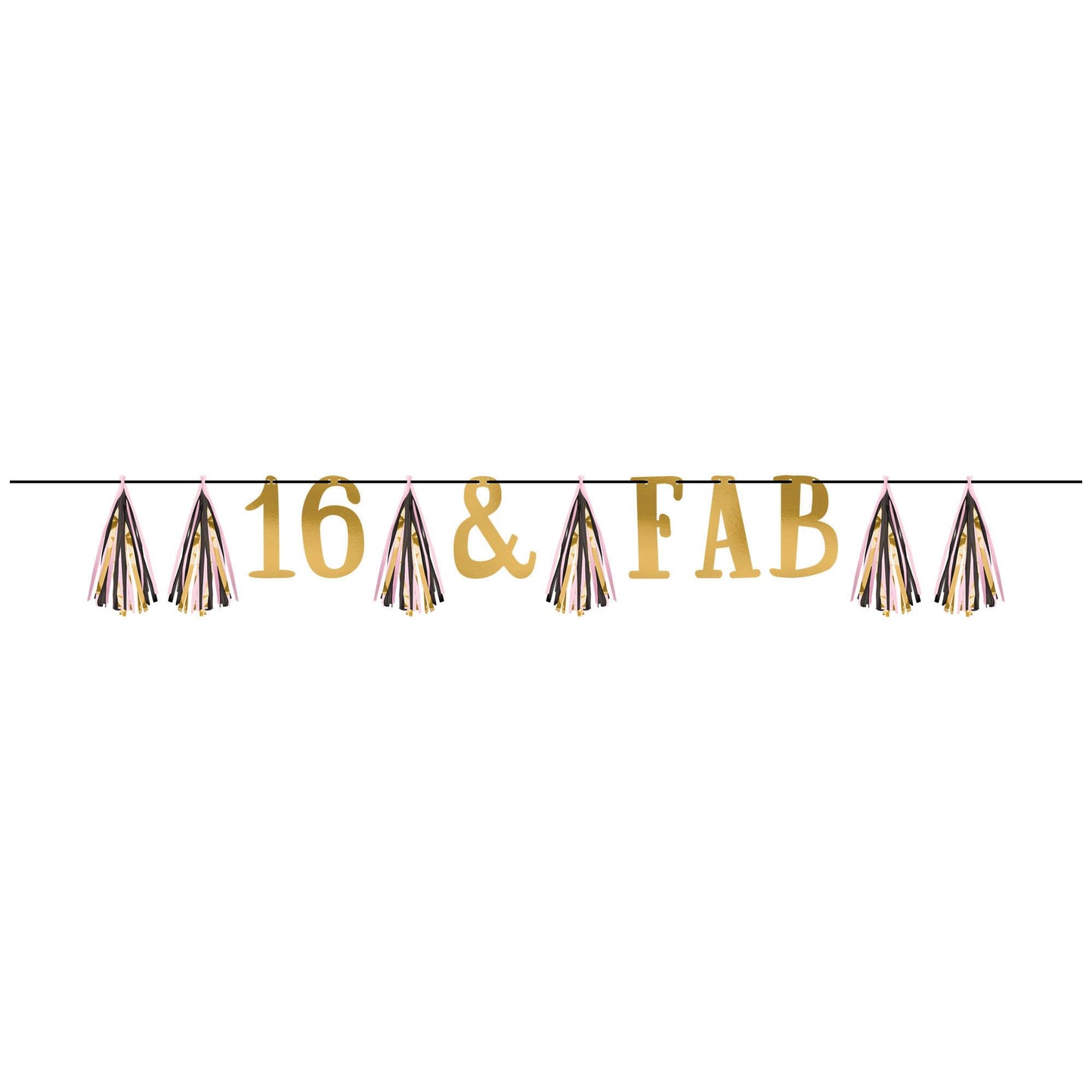Banner: Tassel Garland - Blush Sixteen