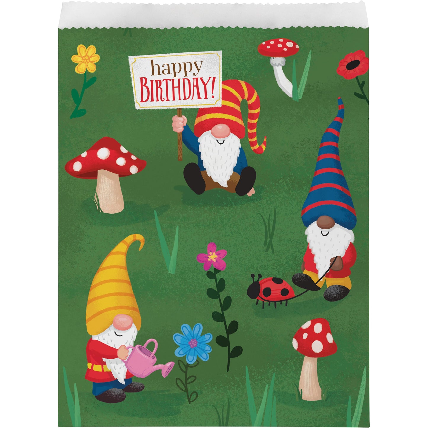 Treat Bags - Party Gnomes 8ct- clearance