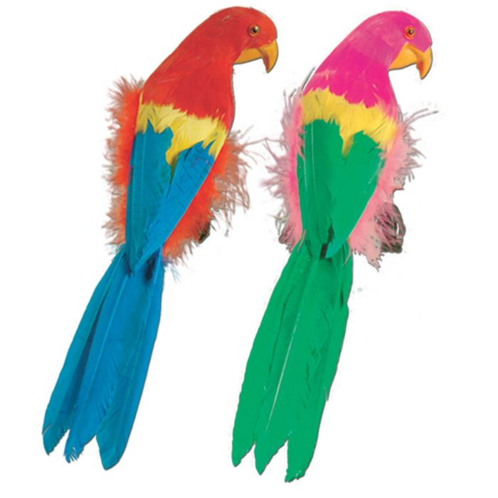 12" Parrot