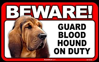 Beware! - Blood Hound