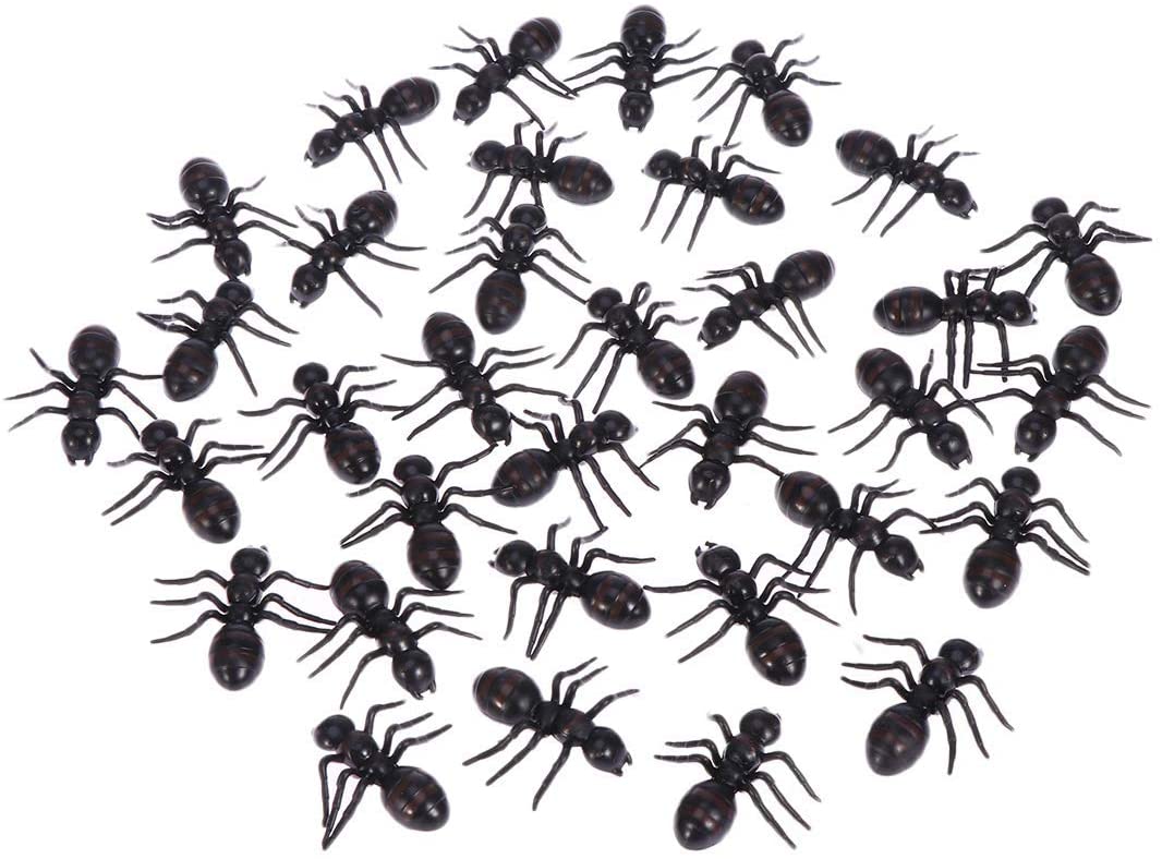 Mini Ants 72ct