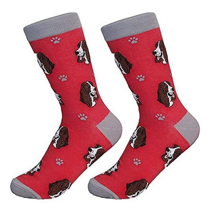 Socks - Basset Hound