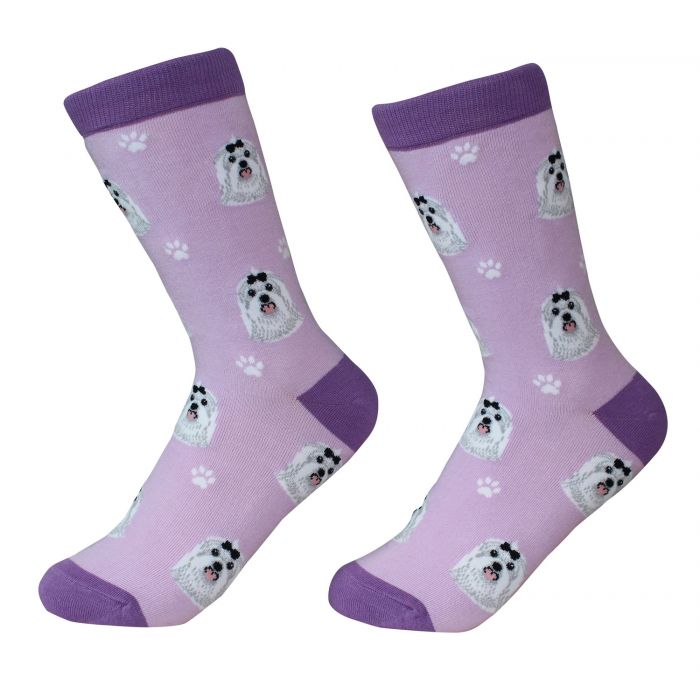 Socks - Maltese