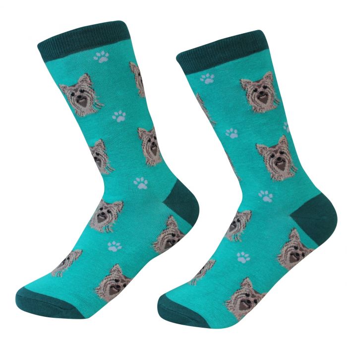 Socks - Yorkie