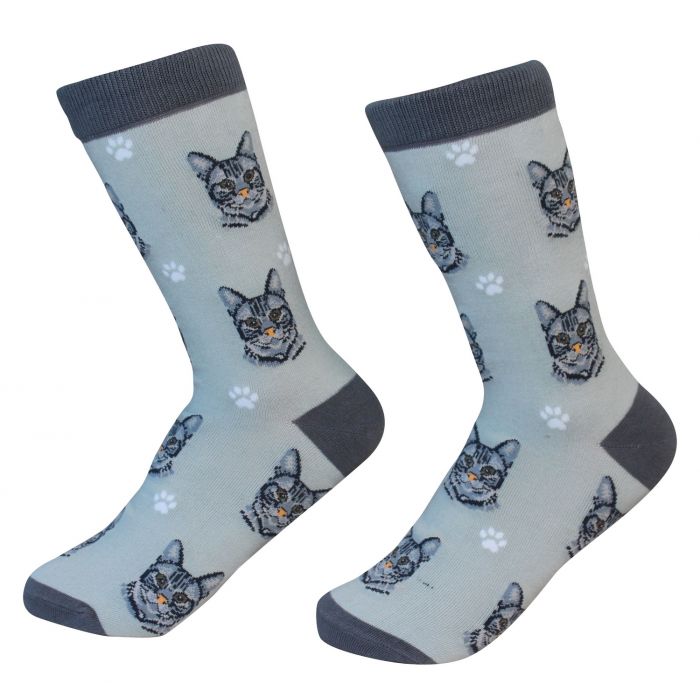 Socks - Silver Tabby