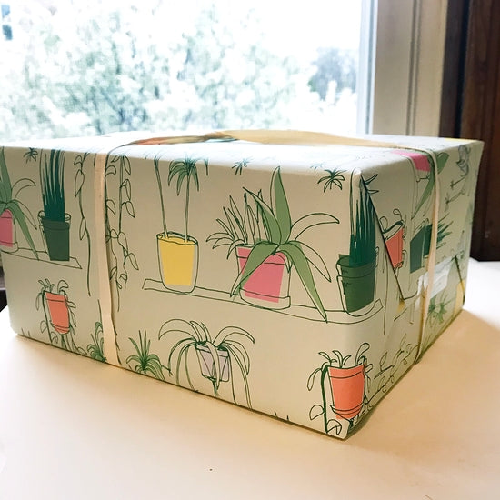 Gift Wrap - House Plants