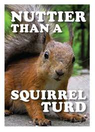 Metal Sign - Nuttier than a Squirrel Turd