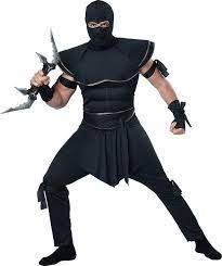 Stealth Ninja