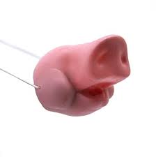 Pig Nose