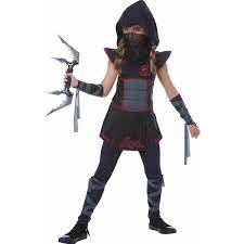 Fearless Ninja