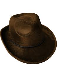 Brown Cowboy Hat