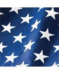 Lunch Napkins -Patriotic Flag