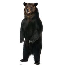 Cardboard Cutout - Brown Bear