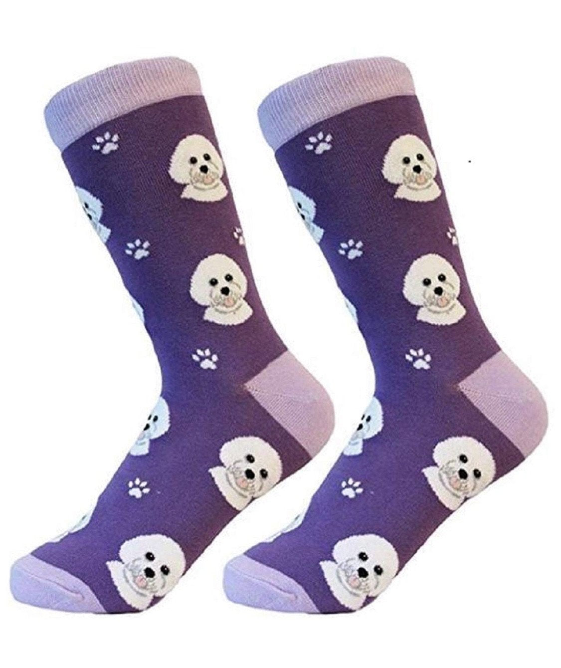 Socks - Bichon Frise