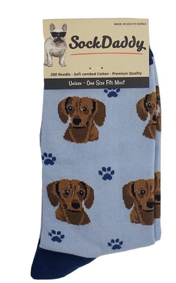 Socks - Dachshund