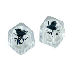 Gag Gift - Bugs In Ice