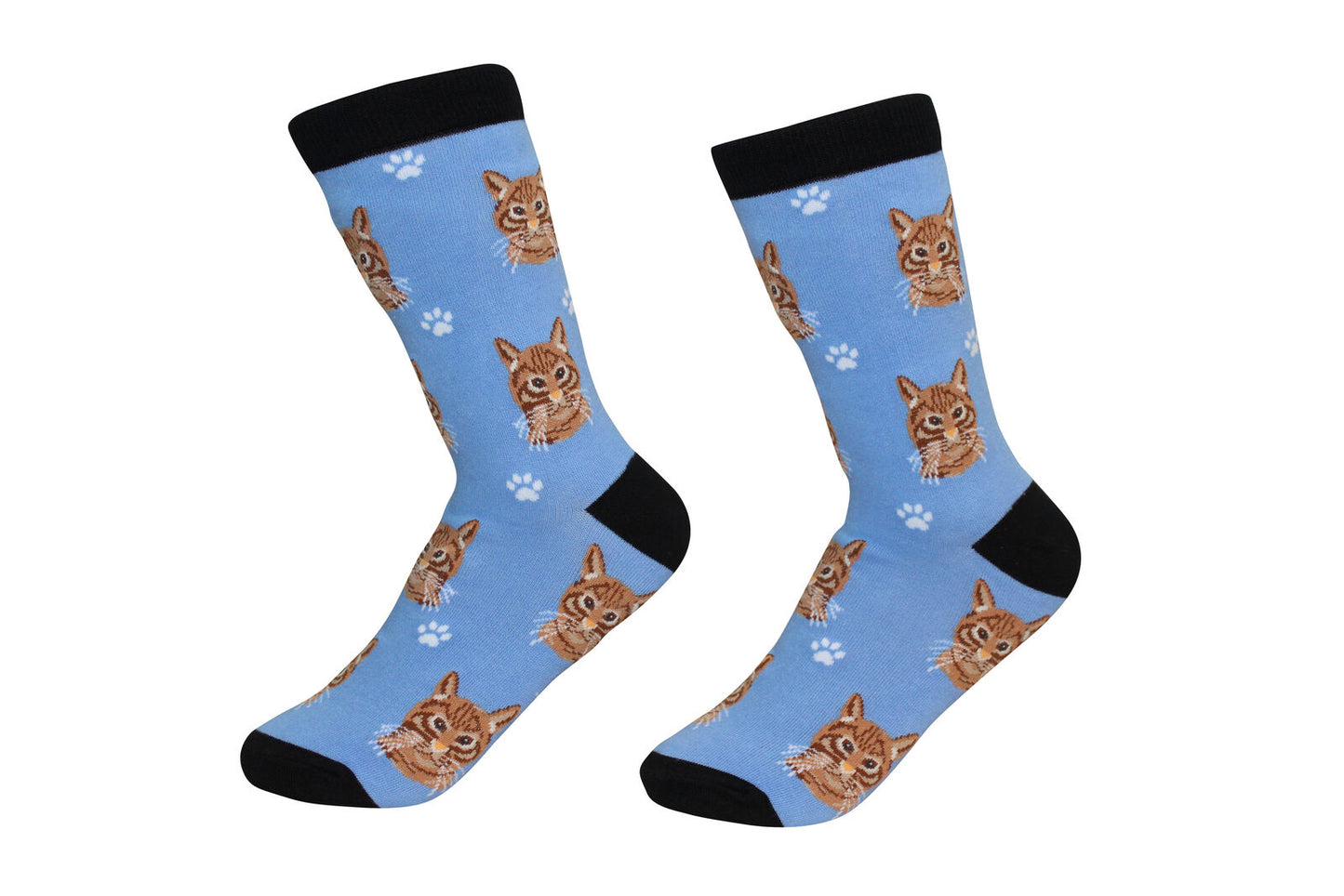 Socks - Orange Tabby