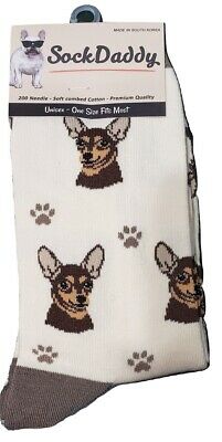 Socks - Chihuahua