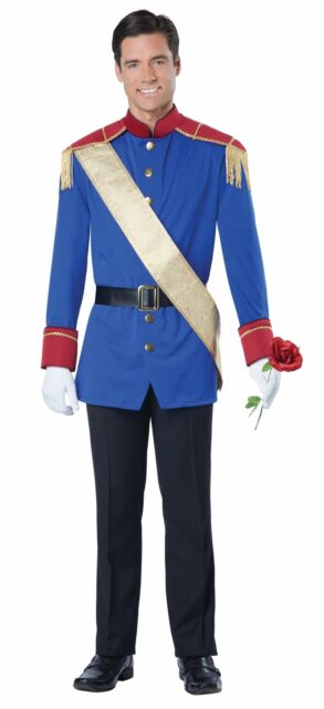 Storybook Prince