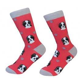 Socks - Shih Tzu