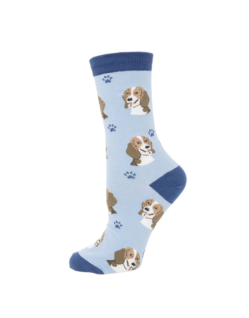 Socks - Beagle