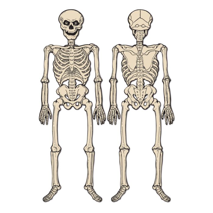 Vintage Jointed Skeleton