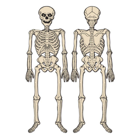 Vintage Jointed Skeleton