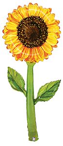 5' Mylar - Sunflower