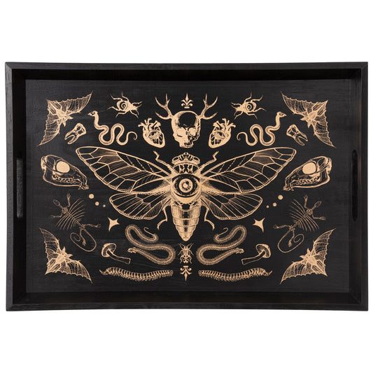 Dark Academia Tray