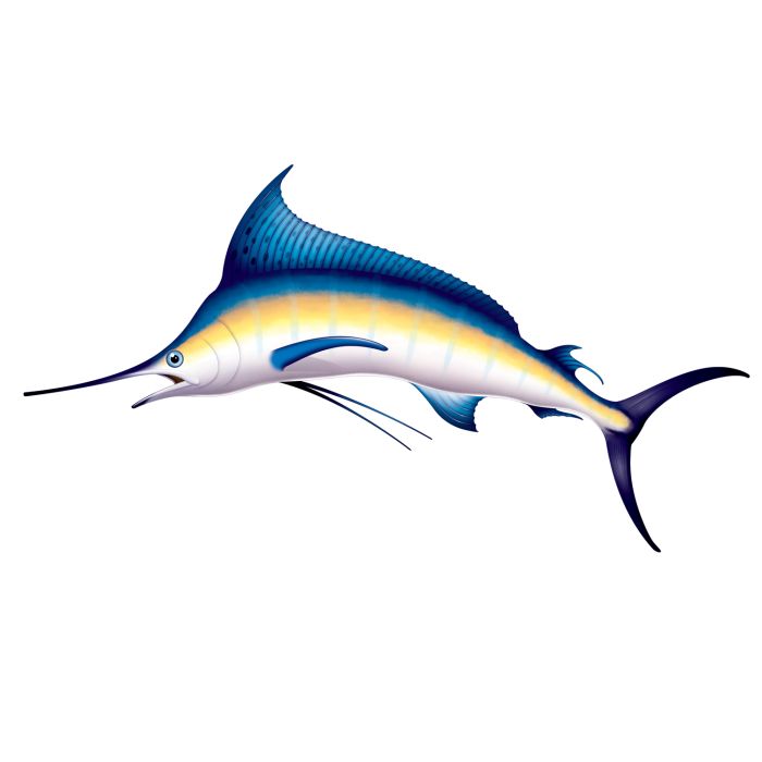 Backdrop - Marlin 6.6ft