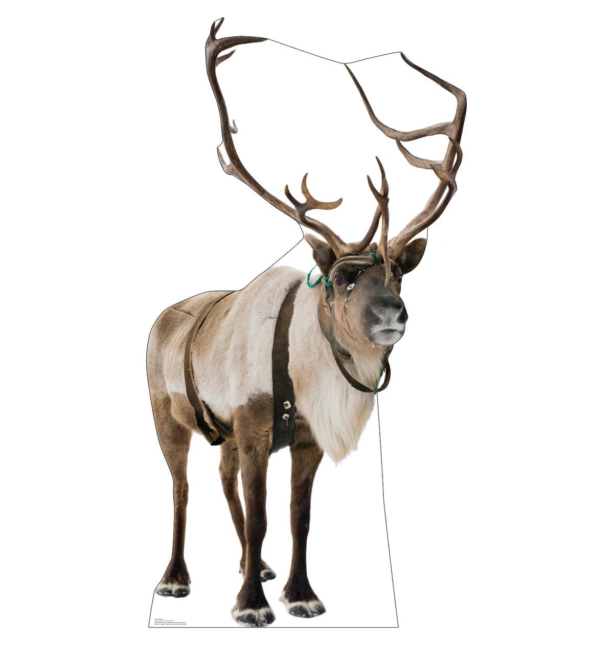 Cardboard Cutout - Reindeer