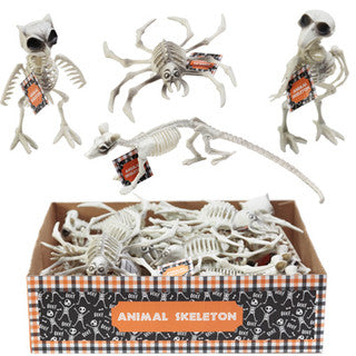 Mini Animal Skeleton - Assorted