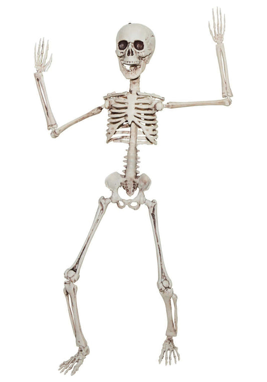 20" Posable Skeleton