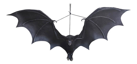 Hanging Black Bat