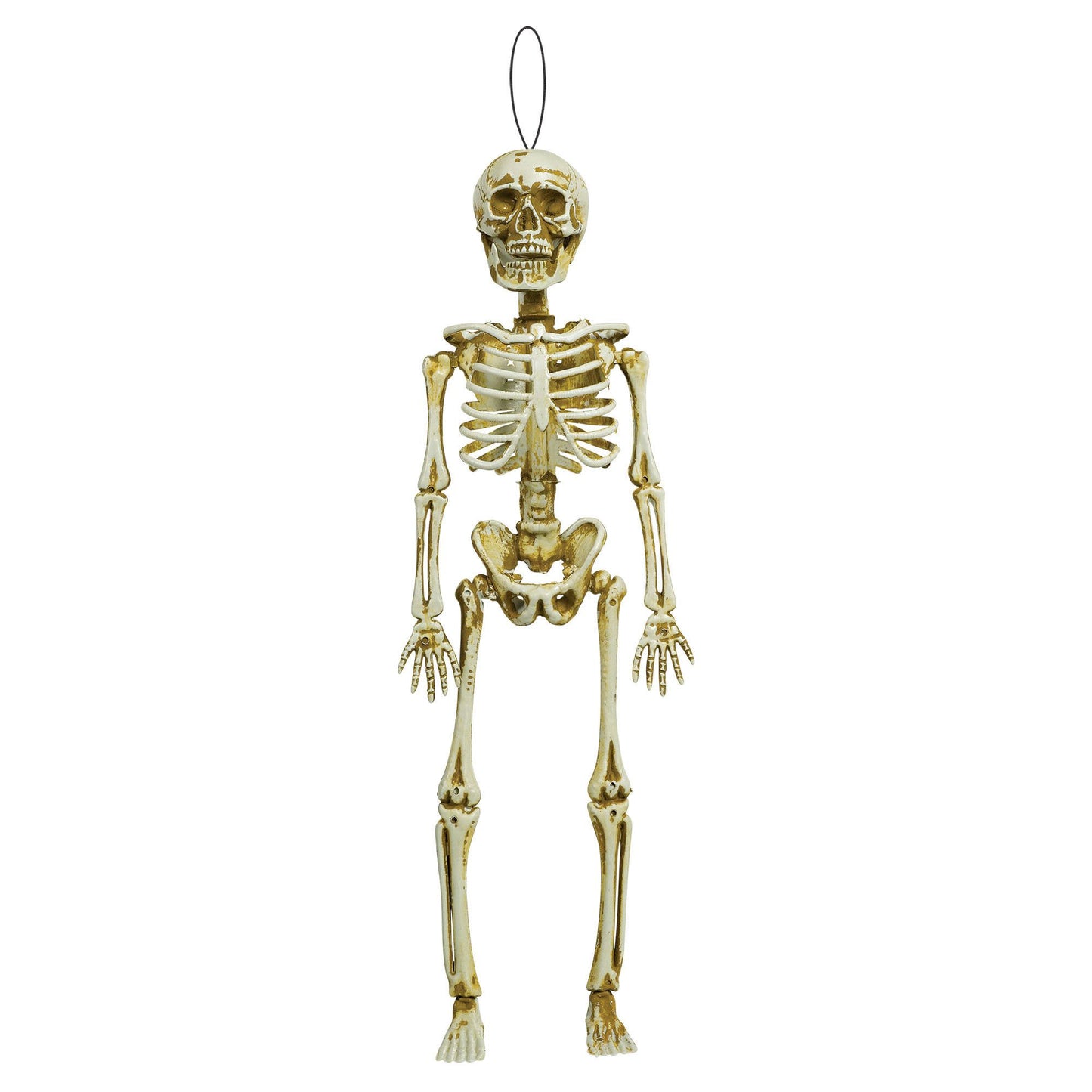 Hanging Skeleton - 15 inch