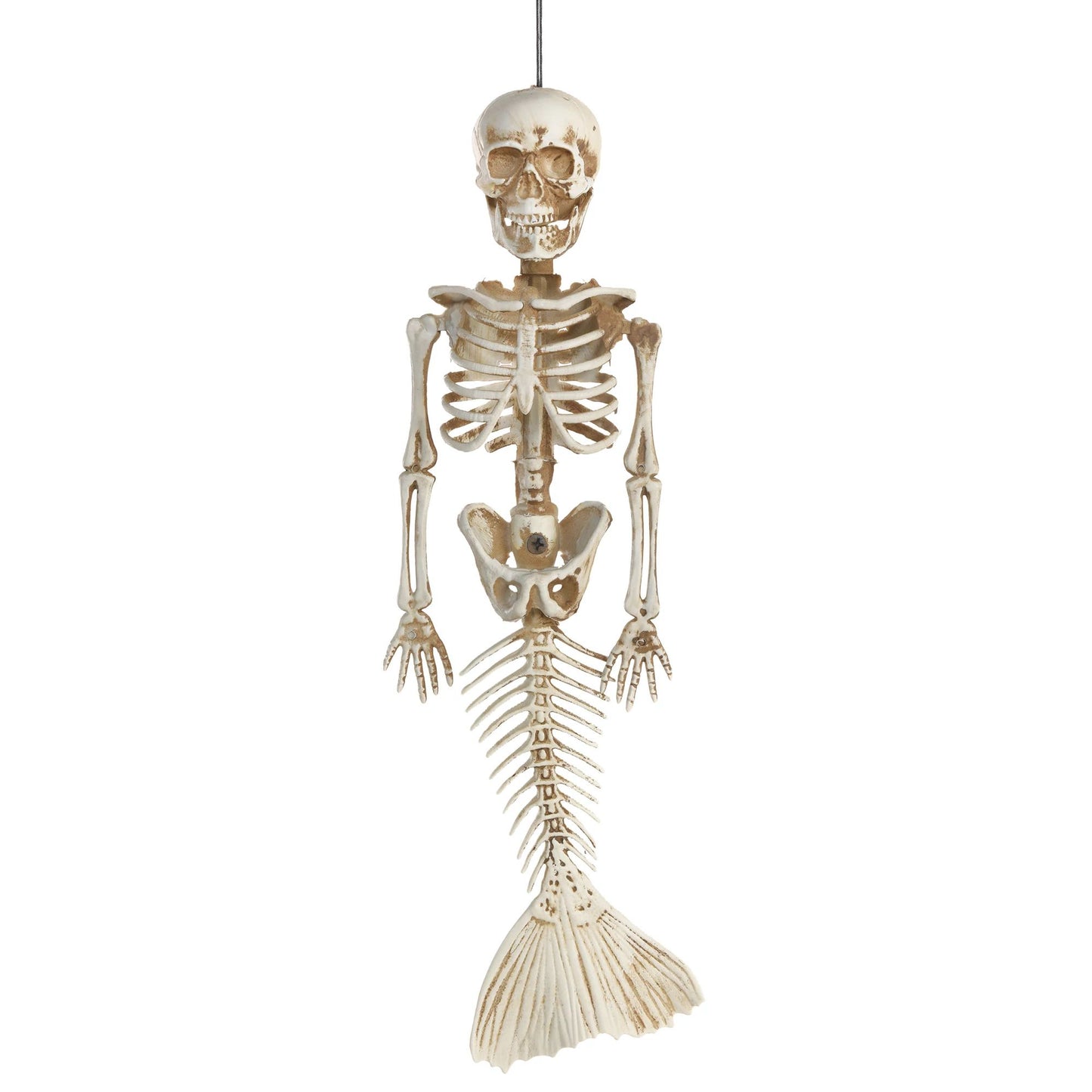 Mermaid Skeleton