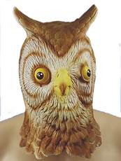 Owl Mask